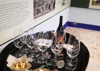 Experiencia cultural amb tast de vins a Finca Viladellops