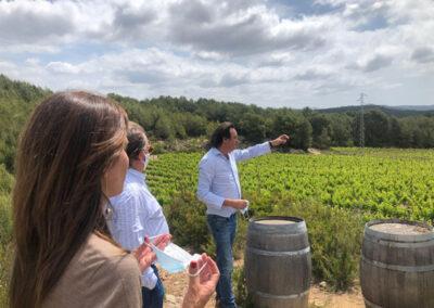Experience and wine tour at Finca Viladellops