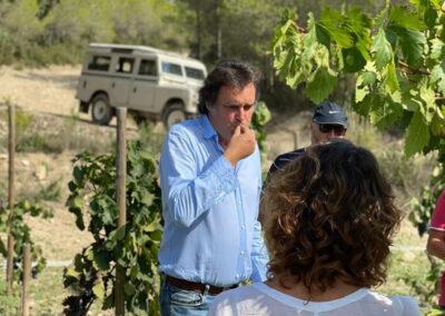 4x4 experience and wine tour at Finca Viladellops